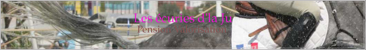 Les écuries d'la Ju